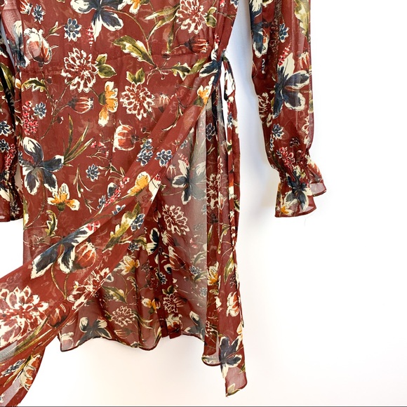 Fall Colored Sheer Zara Dress - Picture 11 of 12